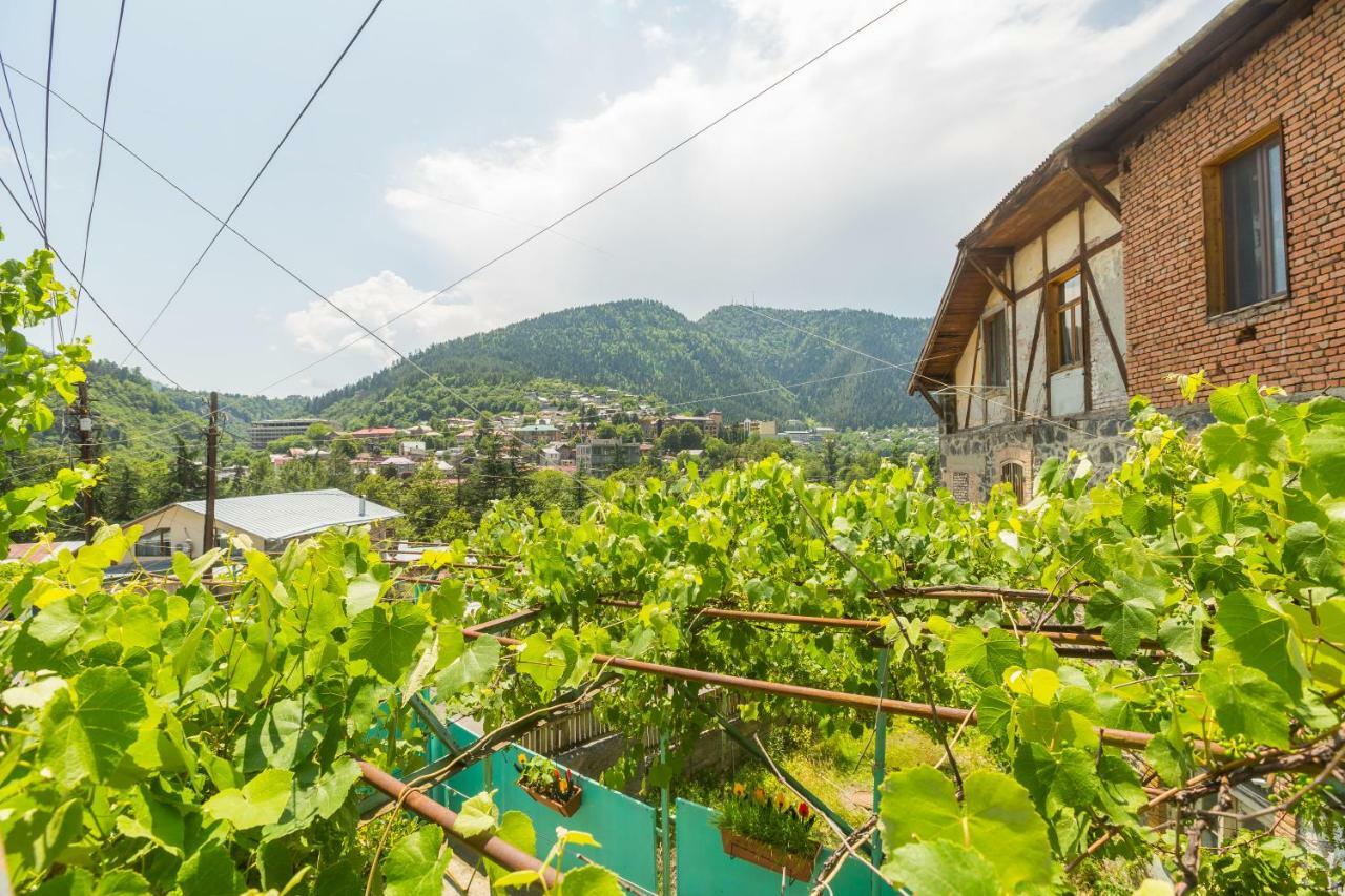 Mereti Hotel Borjomi Eksteriør billede